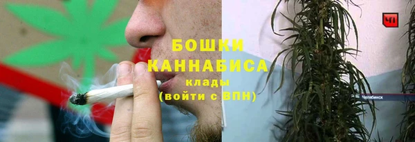 ГАЛЛЮЦИНОГЕННЫЕ ГРИБЫ Яранск