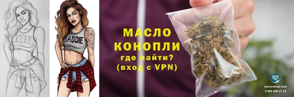 дмт Дмитровск